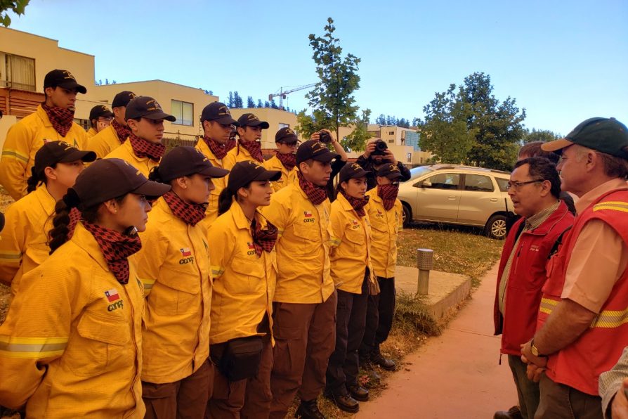 Delegado Jorge Martínez e incendios forestales: “Perseguiremos a quienes cometen este delito”