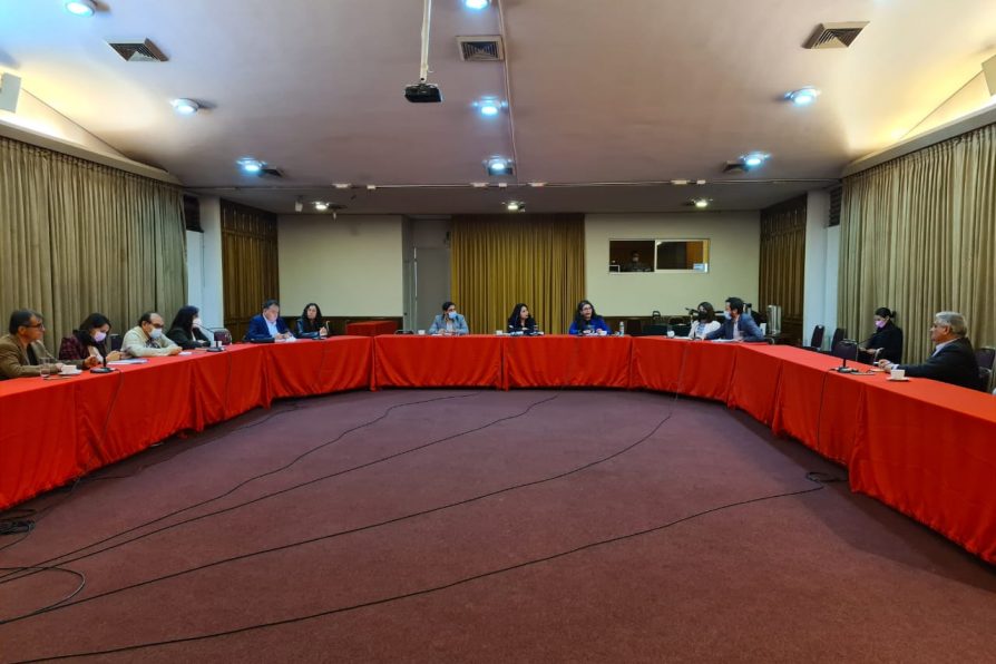 Delegada González fija lineamientos a nuevos seremis en primer Gabinete Regional