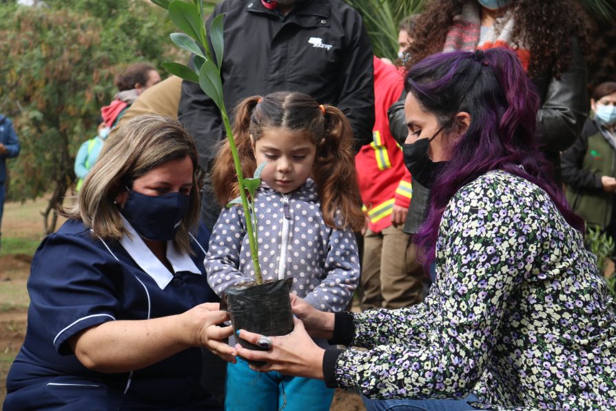 Conaf donó más de un centenar de árboles nativos a la sala cuna y jardín infantil “Luna” de Valparaíso