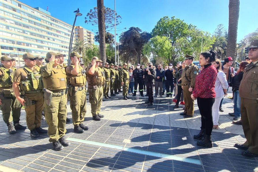 Delegación Presidencial, municipio y Carabineros realizan despliegue contra comercio ilícito en Viña del Mar