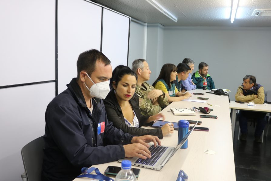 Autoridades confirman caso positivo a influenza aviar en Valparaíso