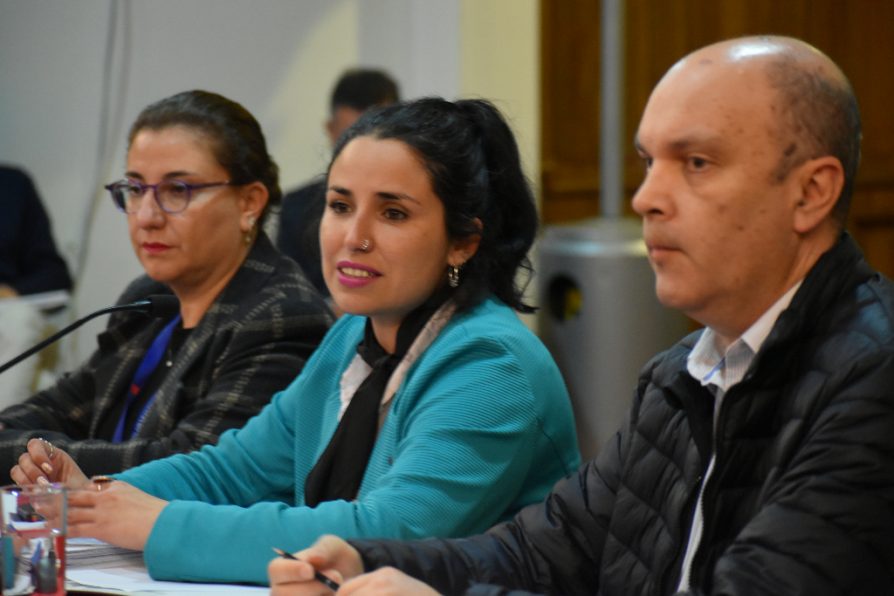 Delegación Presidencial Regional establece la creación de una Fuerza de Tarea Técnica con empresas de Concón, Quintero y Puchuncaví para resguardar la salud de las personas