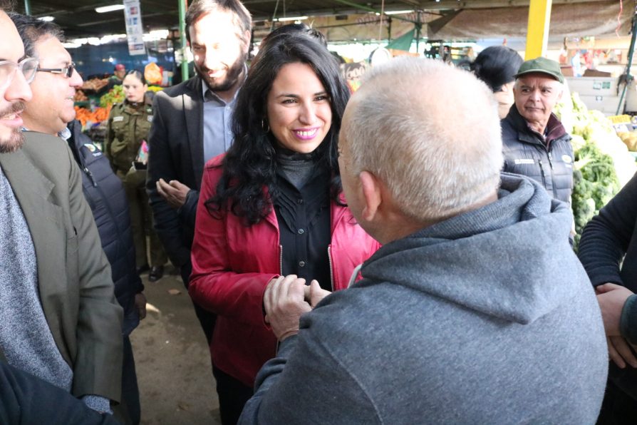 Delegación Presidencial, policías y comerciantes crean fuerza de tarea para combatir delitos en la Feria Caupolicán en Viña del Mar