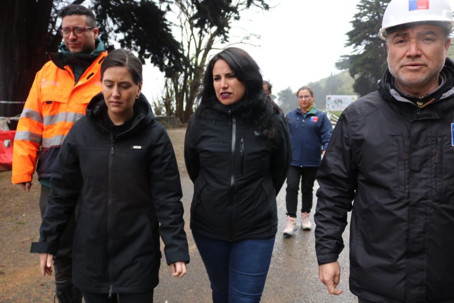 Delegada Presidencial junto a autoridades regionales monitorean estado de socavón en borde costero de Viña del Mar