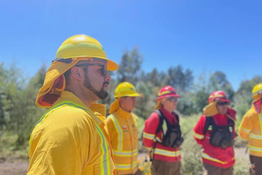 Región de Valparaíso dispondrá de 400 kilómetros lineales de cortafuegos para evitar propagación de incendios forestales