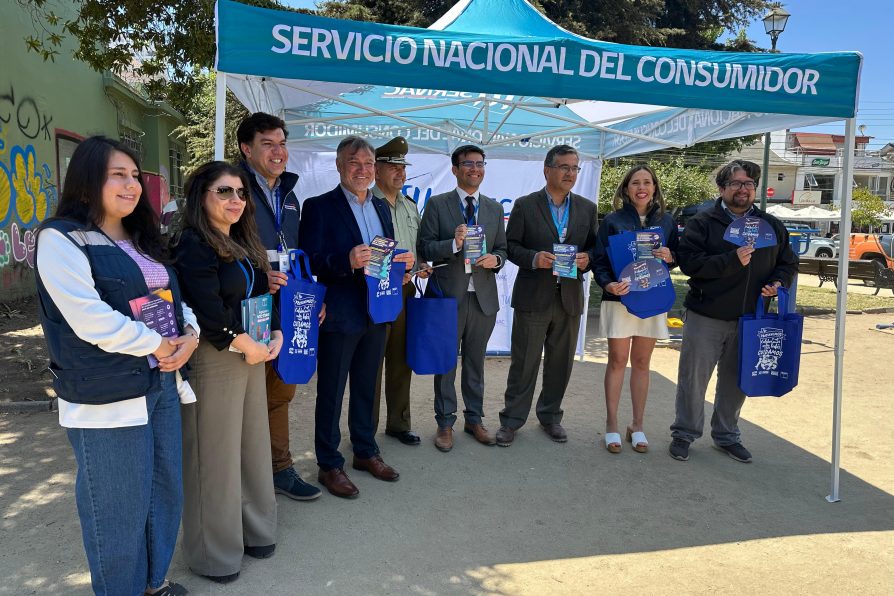 Servicios de Gobierno y Carabineros se despliegan en terreno para fiscalizar y reforzar la seguridad en ferias navideñas y zonas comerciales