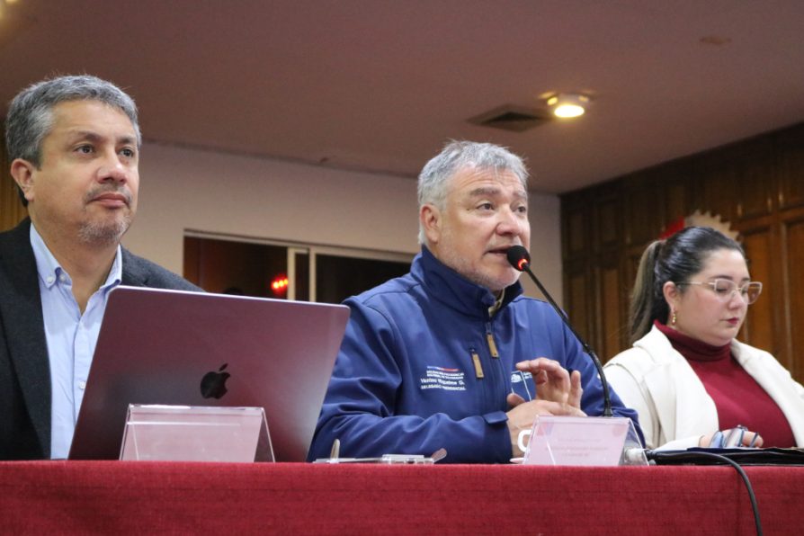 Avanza la reconstrucción: Gobierno informa cifras positivas en la ejecución del Plan en zonas afectadas por el mega incendio