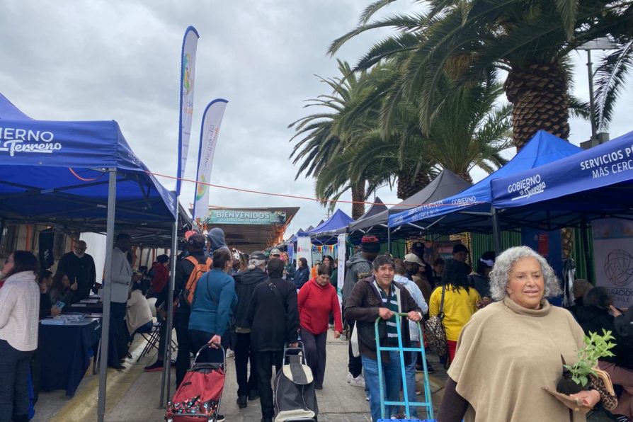 Gobierno en Terreno despliega servicios públicos en Quintero