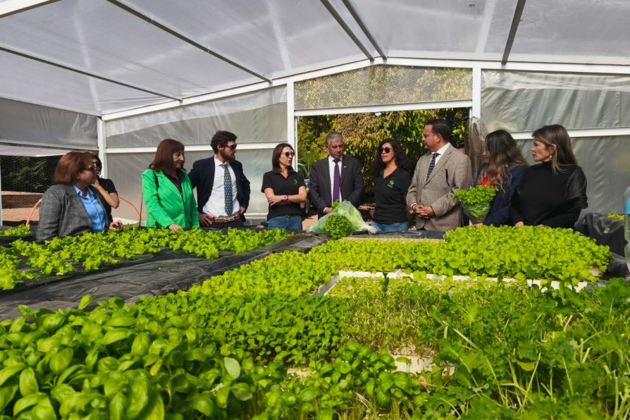 Sercotec anuncia apertura de convocatoria del fondo Capital Abeja para impulsar el emprendimiento femenino