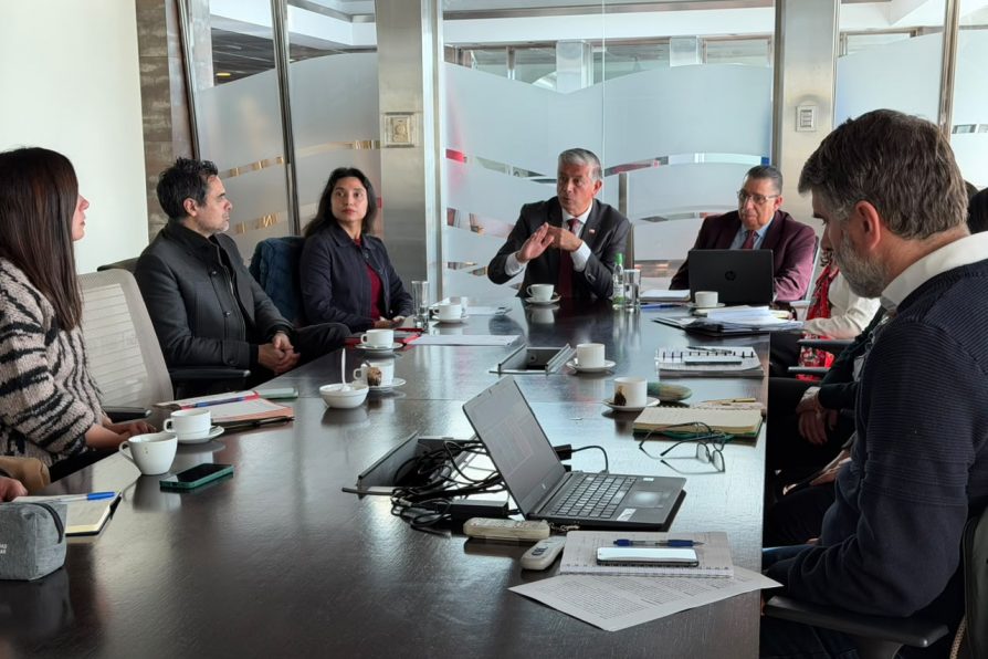 Avanza elaboración del Plan de Salud Mental para familias damnificadas por el mega incendio