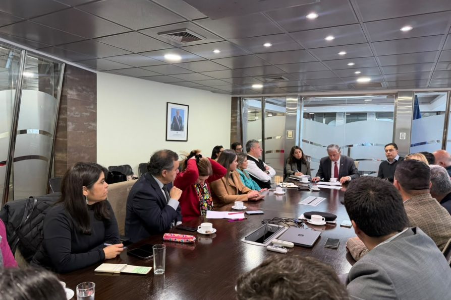 Gabinete Regional evalúa despliegue durante la emergencia y establece lineamientos para fortalecer la capacidad de respuesta