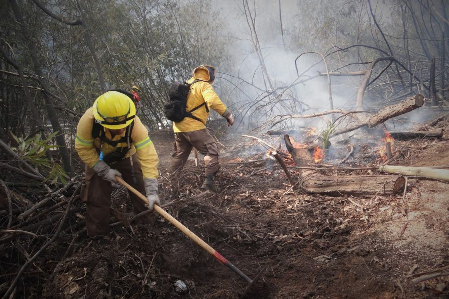 Región de Valparaíso se prepara en materia de prevención y combate contra incendios forestales