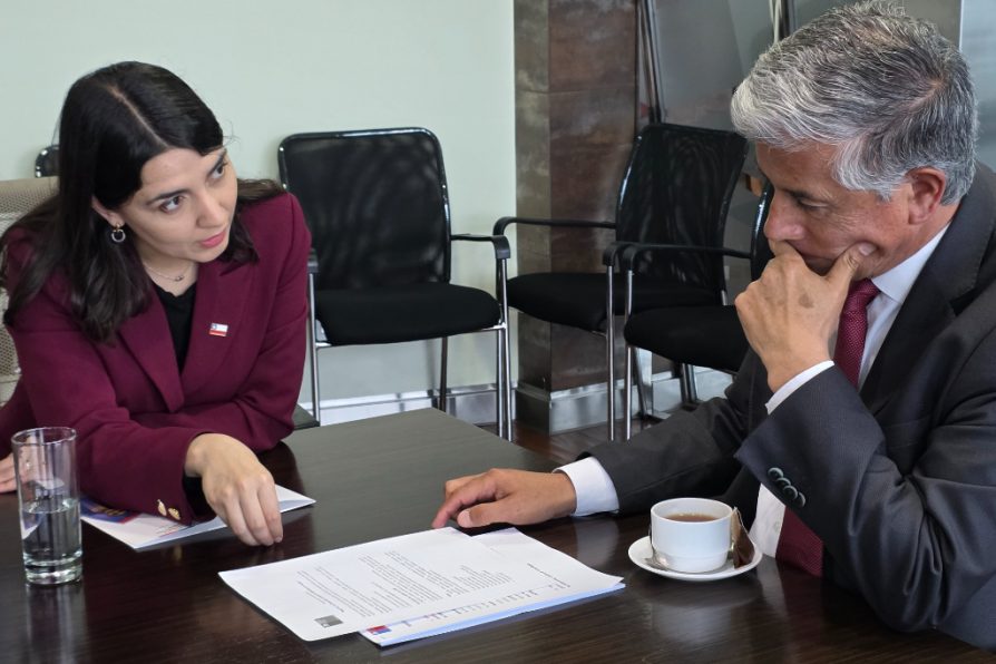 Ministra Marín y Delegado Millones refuerzan compromiso y acciones en materia de eliminación de la violencia de género